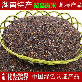 紫香贡米血糯米黑米红米湖南特产新化紫鹊界紫米新米糙米饭紫糯米