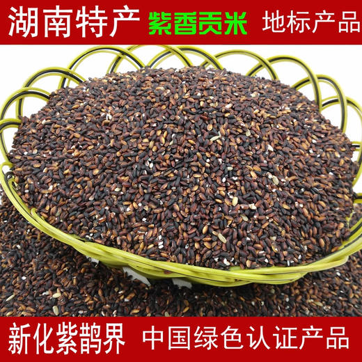 紫香贡米血糯米黑米红米湖南特产新化紫鹊界紫米新米糙米饭紫糯米 商品图0