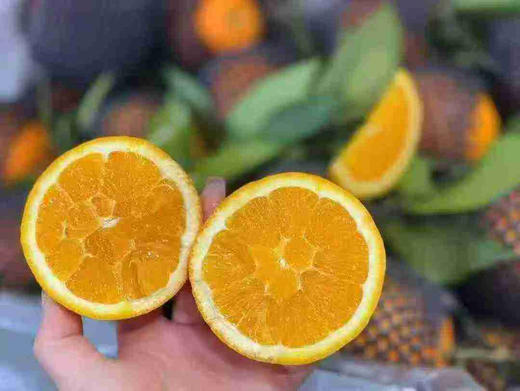 伦晚橙（毛重9斤） 商品图0