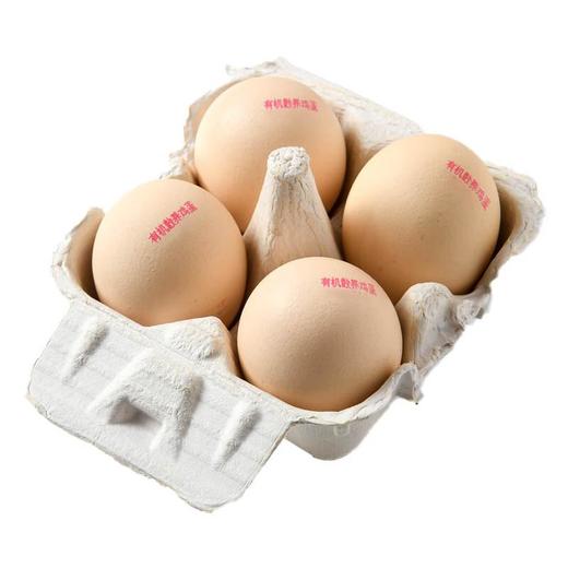 有机散养鸡蛋4枚 商品图2