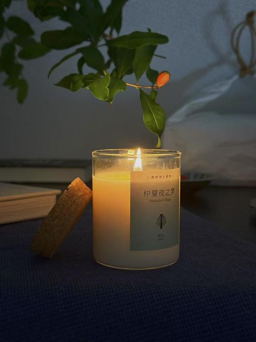 察木 SubtleArt游吟诗人系列 香薰蜡烛 商品图2
