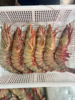 &  虾中巨擘！特大红爪虾🦐带膏，肉质紧实，鲜甜，少量货‼【活冻】 商品缩略图8