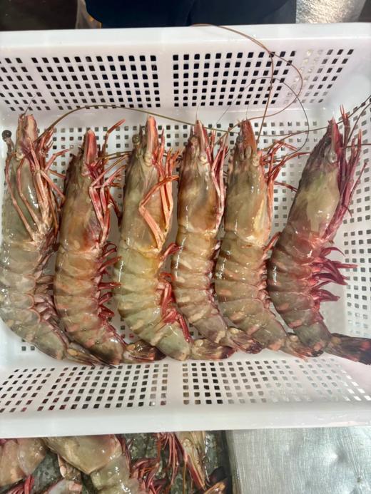&  虾中巨擘！特大红爪虾🦐带膏，肉质紧实，鲜甜，少量货‼【活冻】 商品图8
