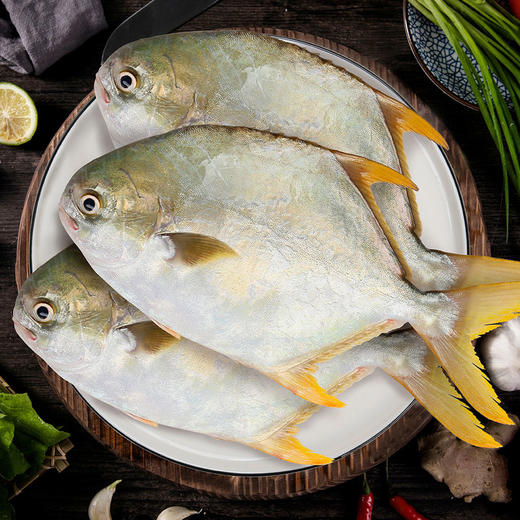 MM 山姆 二去金鲳鱼（调味去腥）3条装 商品图2