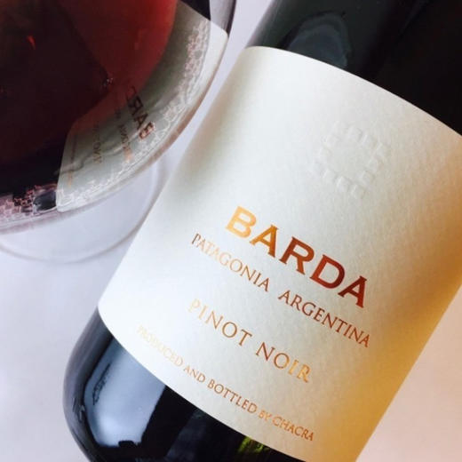 “南美康帝”出品！阿根廷黑皮诺之王 施语花酒庄巴达⿊⽪诺红葡萄酒 Chacra Barda Pinot Noir 2021 商品图2