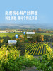 MM 山姆 d‘Arenberg澳大利亚进口 黛伦堡甘泉雷司令白葡萄酒 750ml 商品缩略图3