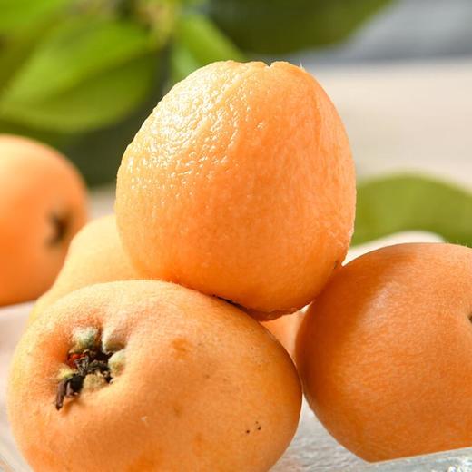 米易枇杷300g 商品图1