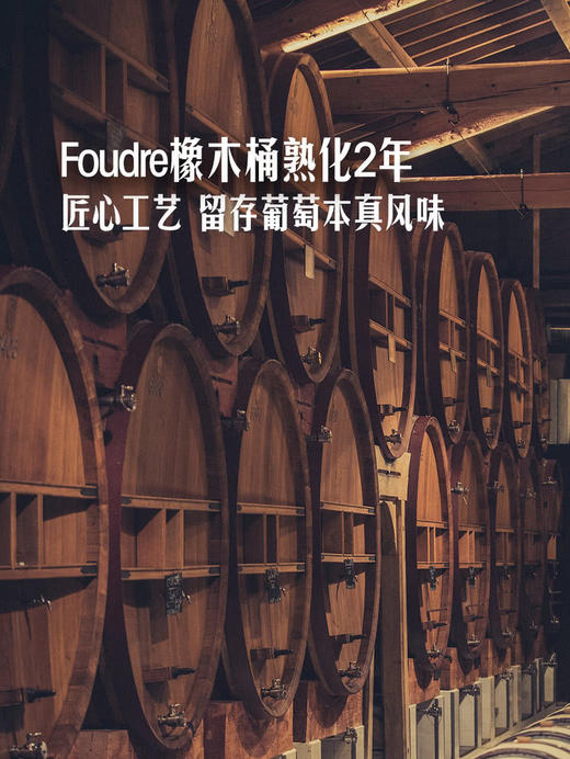 MM 山姆 Member's Mark 法国进口 教皇新堡红葡萄酒 750ml 商品图5