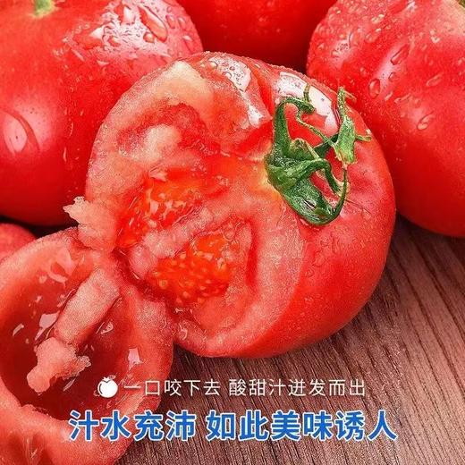 【陕西普罗旺斯西红柿】果肉绵密起沙，一咬就爆汁，不硬不柴、现摘现发 商品图2