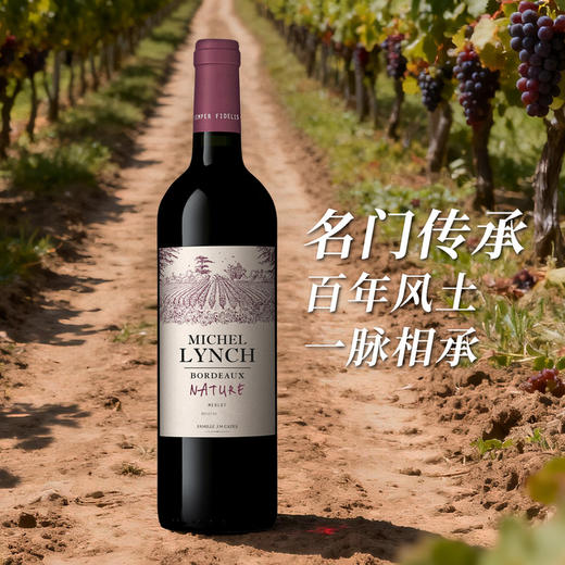 MM 山姆 美诗丽致 法国进口 波尔多娜德然干红葡萄酒 750ml 商品图2
