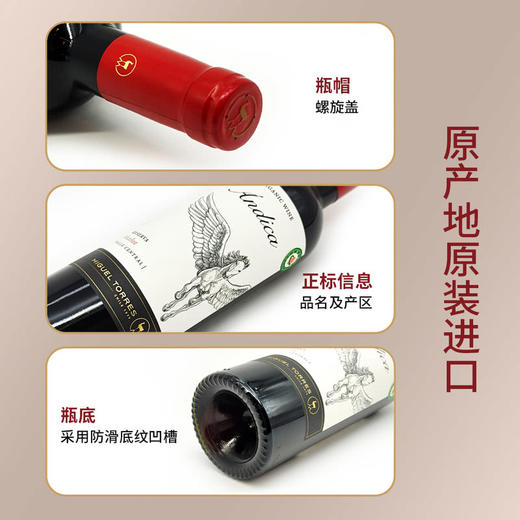 MM 山姆 米高桃乐丝（Miguel Torres）智利进口 安第卡珍藏美乐干红葡萄酒 750ml 商品图4