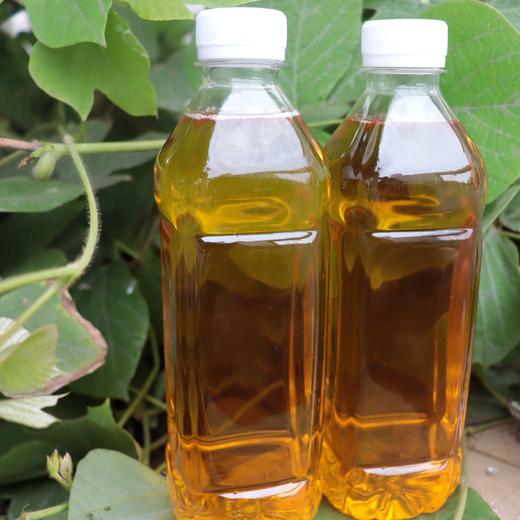 农家纯正压榨茶油500ml山茶油瓶装食用油家用健康茶油正宗茶油 商品图4