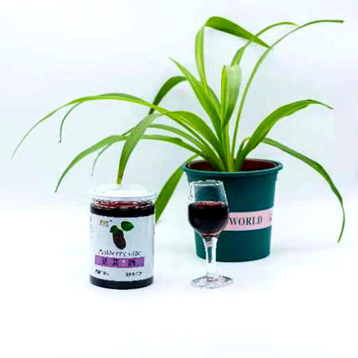 桑葚酒农家原汁鲜果发酵自酿桑葚酒桑椹甜型红酒果酒12瓶礼盒装 商品图3