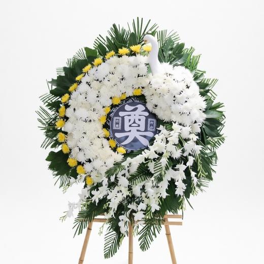 白羽引途 商品图0