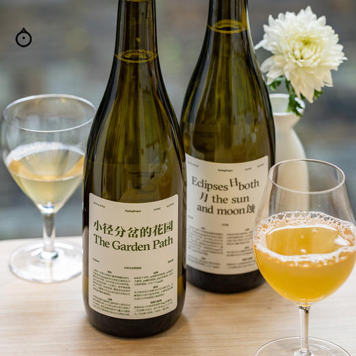 企鹅市集|金桔计划 苹果西打酒 红苹果x白葡萄混酿 香气层次丰富 商品图1