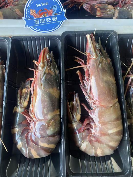 &  虾中巨擘！特大红爪虾🦐带膏，肉质紧实，鲜甜，少量货‼【活冻】 商品图7