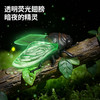 【7个会爬行的立体昆虫 有夜光】百乐森立体昆虫发条玩具 儿童益智爬行仿真动物虫子模型礼盒 赠7张认知卡+礼盒套装 商品缩略图3