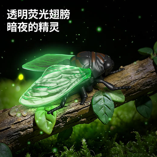 【7个会爬行的立体昆虫 有夜光】百乐森立体昆虫发条玩具 儿童益智爬行仿真动物虫子模型礼盒 赠7张认知卡+礼盒套装 商品图3