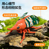 【7个会爬行的立体昆虫 有夜光】百乐森立体昆虫发条玩具 儿童益智爬行仿真动物虫子模型礼盒 赠7张认知卡+礼盒套装 商品缩略图1