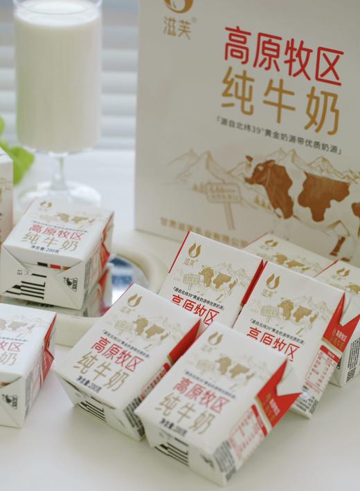 滋芙高原纯牛奶200g*10盒/箱*3 京东快递 商品图2