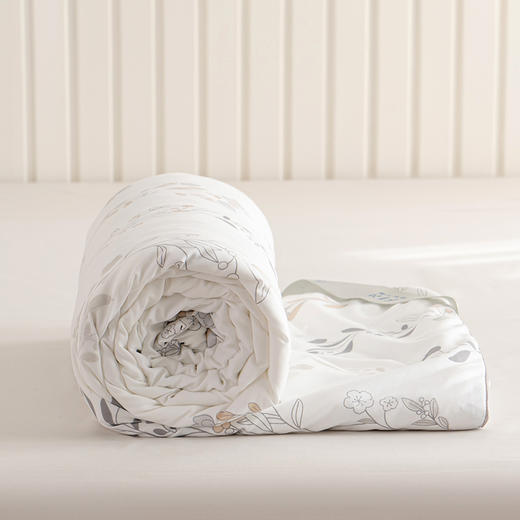 杉杉家纺  舒雅纯蚕丝被 商品图3