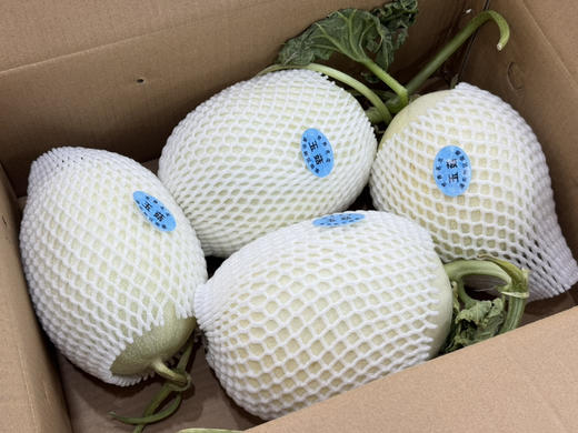 南汇玉菇甜瓜礼盒装 商品图2