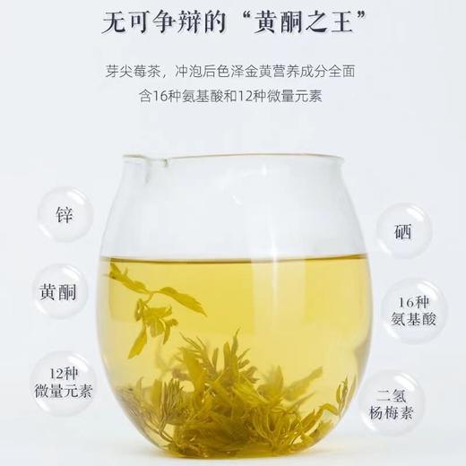 莓茶张家界龙须藤茶正品芽尖霉茶功效与作用高山富硒梅茶养生莓茶 商品图3