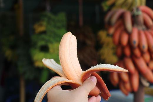 3斤家庭装【蜜麒麟娇蕉-美人蕉】软糯香甜  香蕉 果肉Q弹，还自带一股淡淡的兰花香味 商品图2