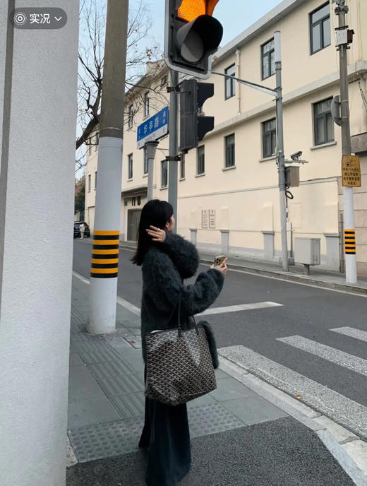 戈雅 Artois mm 老花 黑色 单肩包 商品图3