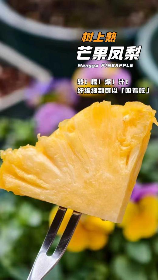 3颗到手69【芒果凤梨】【果肉软糯细腻  带有芒果香和凤梨香】 风味浓郁有层次 几乎无酸 甜度爆表 商品图4