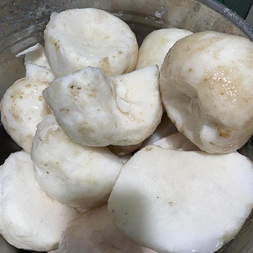 新化特产草碱魔芋豆腐新鲜香辣魔芋干素毛肚湖南农家纯手工魔芋块 商品图3