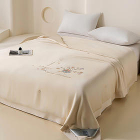 杉杉家纺 天丝蚕丝被