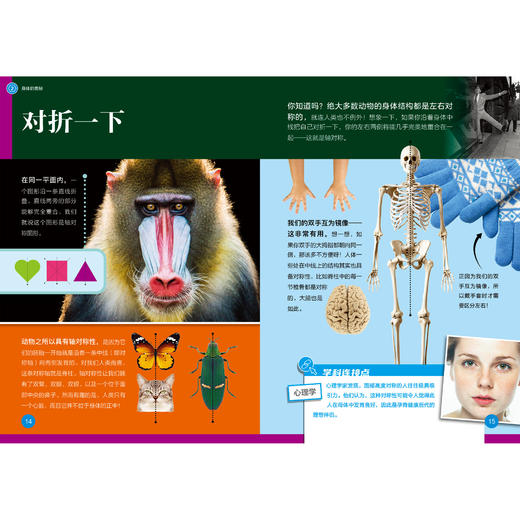 《了不起的数学》（全10册） 商品图10