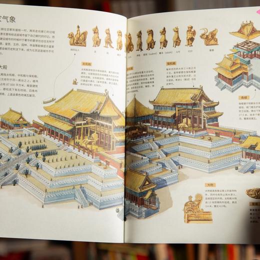 《藏在地图里的地理百科：中国+世界》（共16册）孩子好奇的地理知识这里都有（72小时发货） 商品图7