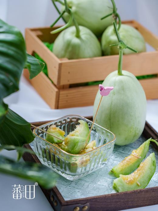 【绿美人香瓜】17°+自然甜，果肉透亮如冰种翡翠，入口化水无渣感-CC 商品图2