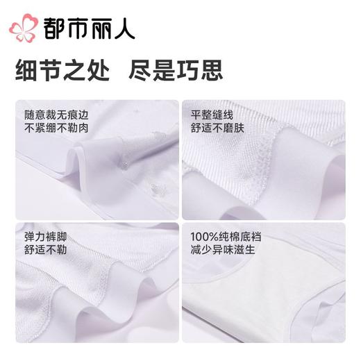 都市丽人内裤女士内裤锦提花内裤薄透丝滑速干内裤LKC5I1 商品图3