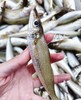 沙丁鱼 野生捕捞 新鲜发货 肉质细腻 油炸香煎 商品缩略图3