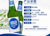 500ml*9瓶 崂山 啤酒 商品缩略图1