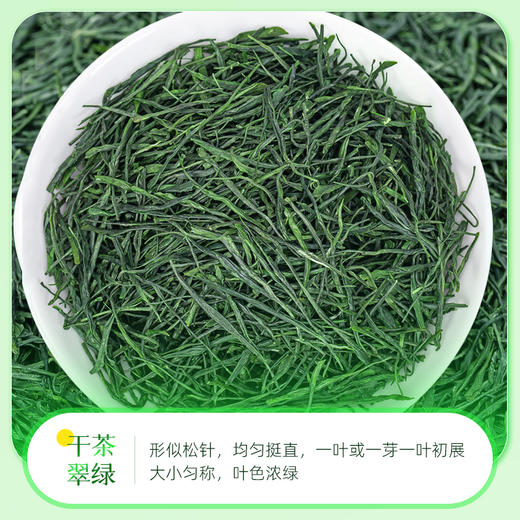 茶马世家丨早春恩施玉露 绿茶 明前特级 圆罐 100g 商品图6