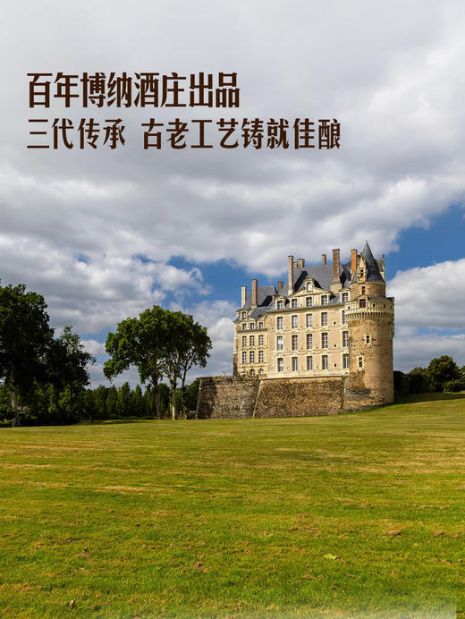 MM 山姆 勃艮第 法国进口 BOURGOGNE博恩一级园红葡萄酒 750ml 商品图4