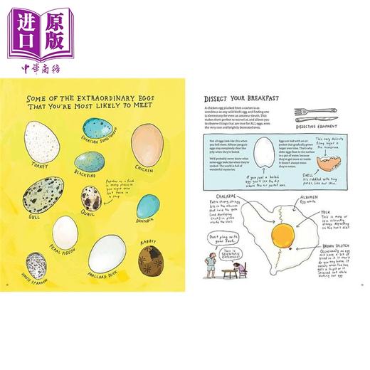 预售 【中商原版】鸟类大全 鸟类调查员手册 Omnibird An Avian Investigators Handbook 英文原版 Giselle Clarkson 百科 商品图1