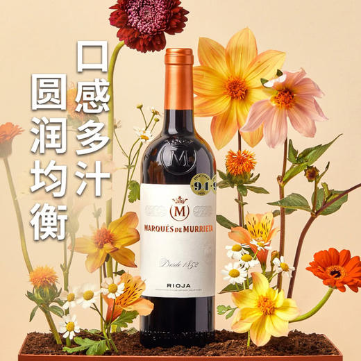 MM 山姆 莫瑞塔 西班牙进口 珍藏干红葡萄酒 750ml 商品图2