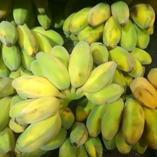 有机丑芭蕉（粉蕉） 4.8斤 商品图7