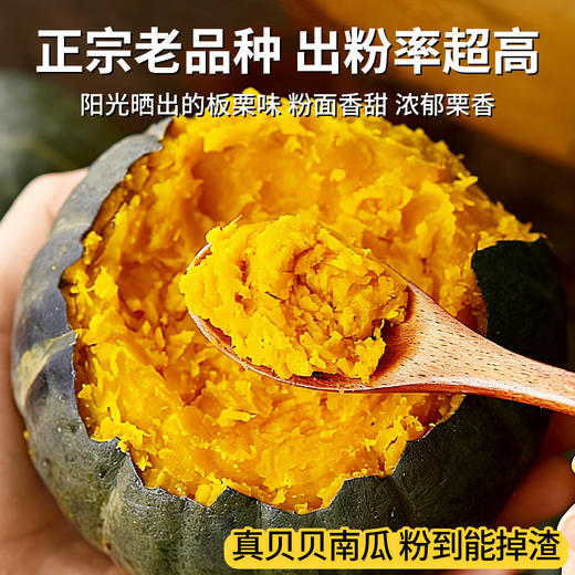 在菌屋 山东老品种贝贝南瓜5斤装 口感粉面 甜糯栗香 商品图2