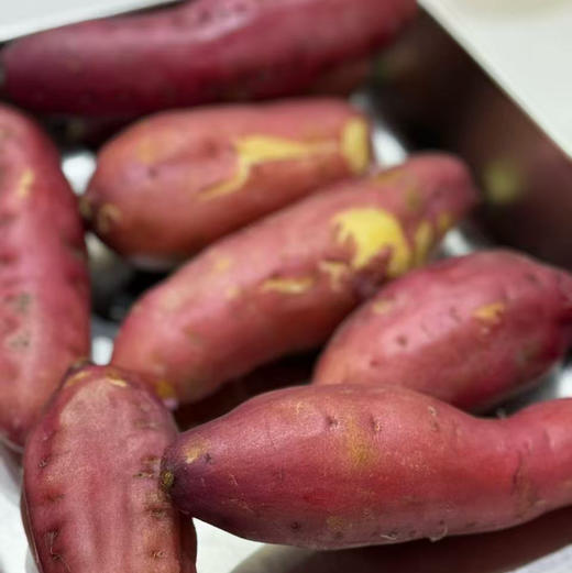 石家庄优选仓库速达，壹家良品&板栗红薯，海南澄迈富硒地瓜，紫红皮黄心软糯香甜栗香浓郁  净重5斤礼盒装 商品图1