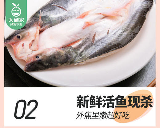 渔尚芭莎烤鱼（蒜香味）/1包（巴沙鱼600g+酱料包130g）生产日期：26年1月 商品图4