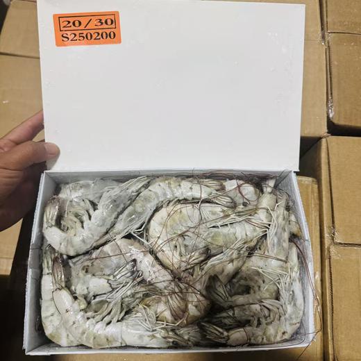 【生鲜专区-顺丰发货】厄瓜多尔盐冻大虾 原装进口 原箱发货 约1.5公斤/盒(3斤)  青岛发货 顺丰包邮  {冷冻生鲜食品请及时签收}约48-72小时发货 勿催单 商品图2