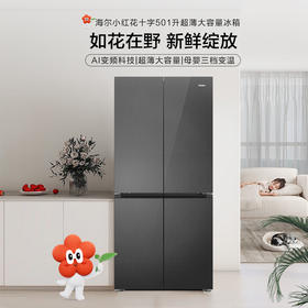 小红花系列海尔(Haier)501升十字对开门超薄冰箱 三挡变温 彩晶玻璃面板 BCD-501WGHTDEDBXU1