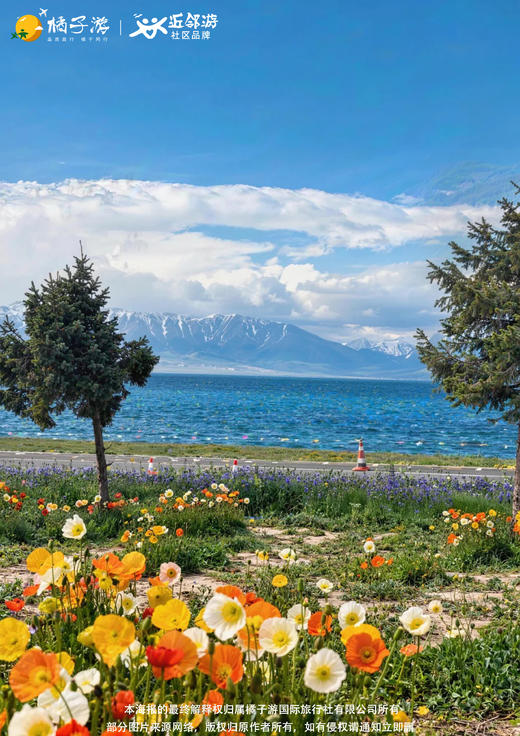 【杏趣南疆】双飞8日游 商品图1