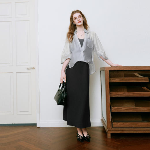 【商场同款】诗凡黎黑色通勤半身裙25夏新款简约中长裙3G4240361 商品图1